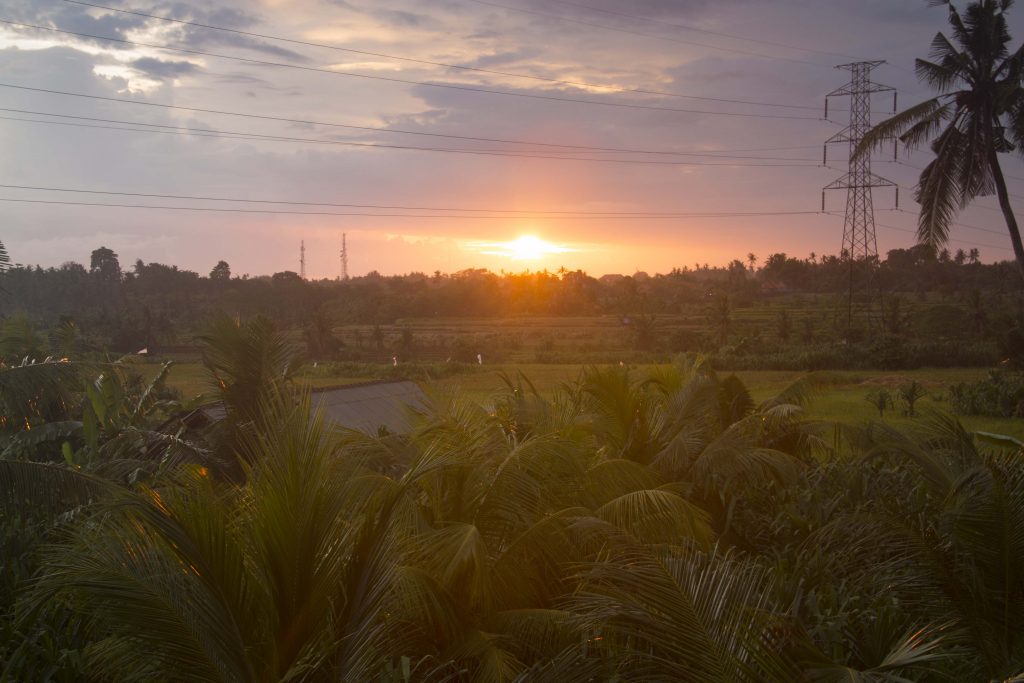 Villa Rini in Ubud, Bali: Review for nudists and naturists