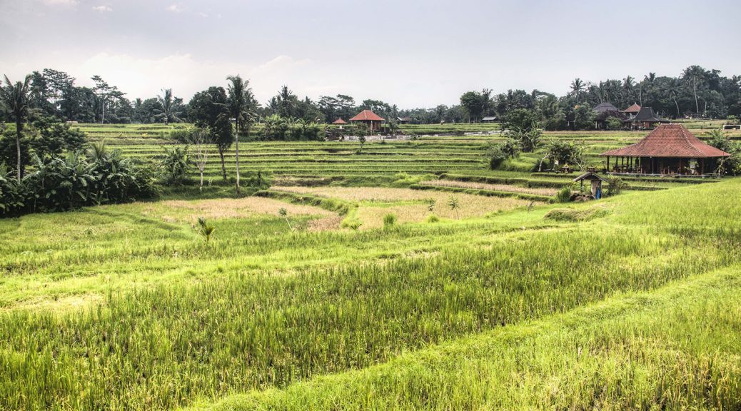 1038px x 576px - Nude in Bali: Nudist Beaches and Resorts - Naked Wanderings