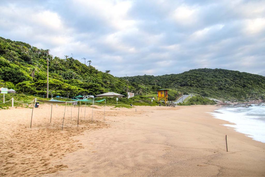 Praia do Pinho nude beach and naturist camping near Florianopolis, Brazil