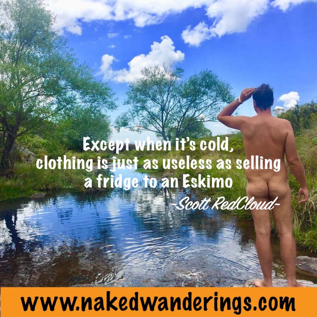 17 Best Quotes about nudism and nudity