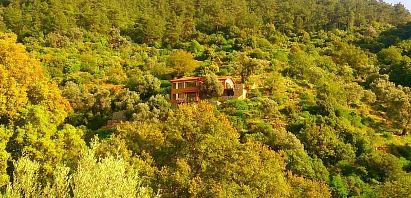 20 Amazing Airbnb rentals perfect for nudists
