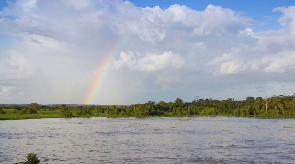 Naked In the Amazon