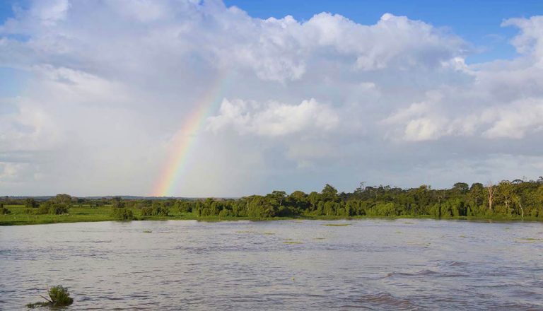 Naked In the Amazon