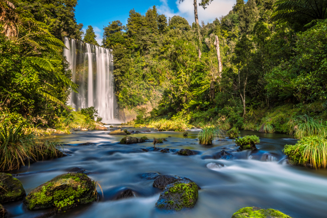 Ngatuhoa Naturist Annual Summer Camp