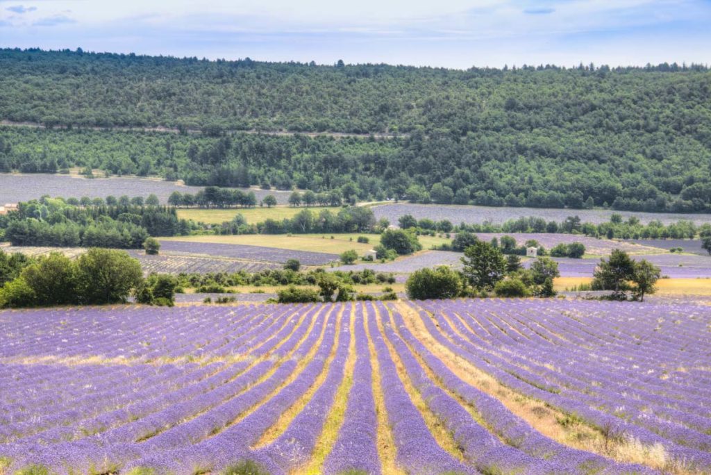 Review: Le Petit Arlane in Provence, France