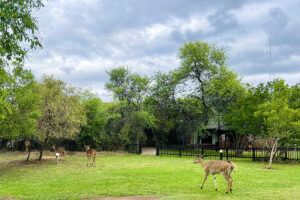 SunEden near Pretoria, South Africa: Review