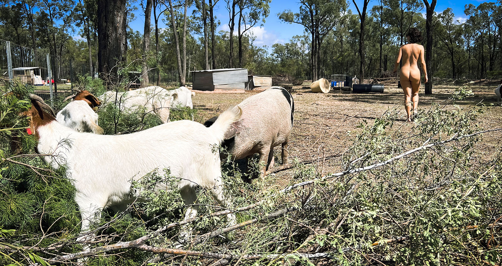 Bare Camp in Queensland, Australia