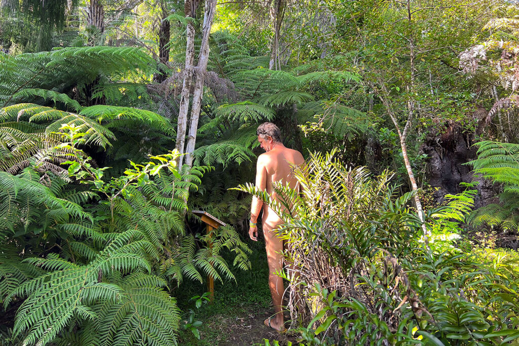 Auckland Outdoor Naturist Club in Auckland, New Zealand