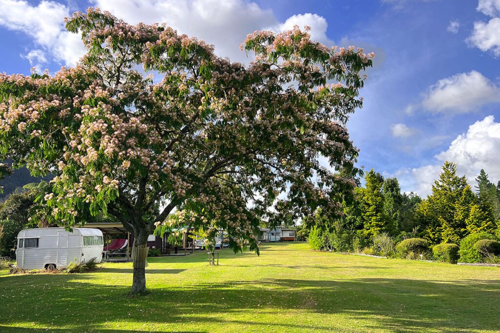 Rotota Naturist Club in Waikato, New Zealand