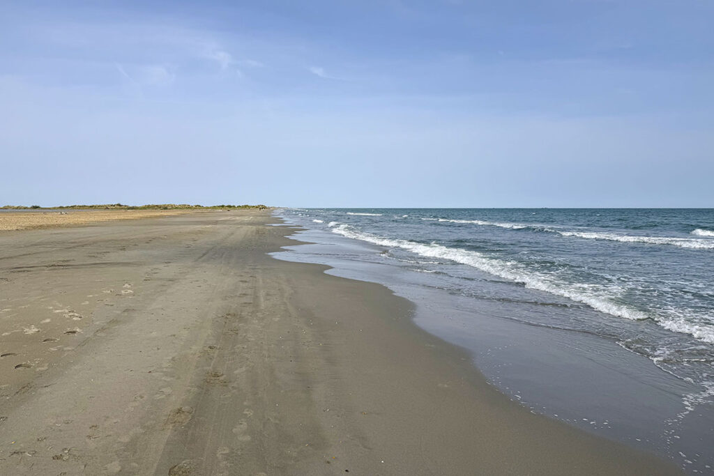 The Ultimate Guide to Nude Beaches in France's Camargue