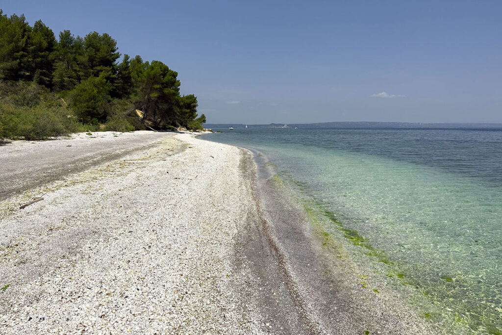 The Ultimate Guide to Nude Beaches in France's Camargue
