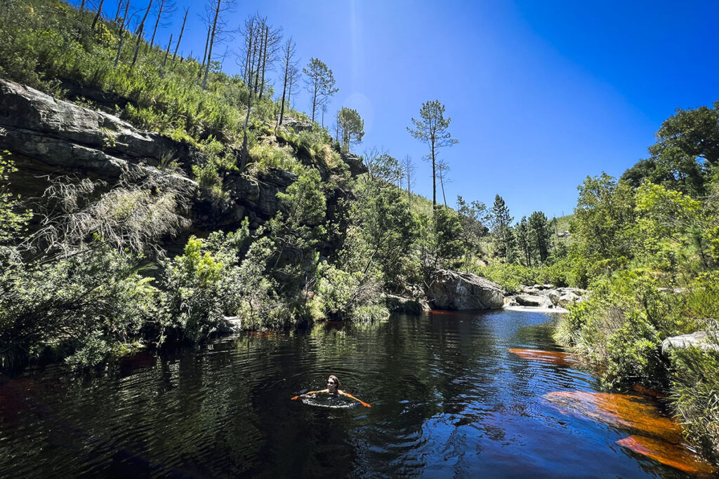 The Ultimate Clothes-Free Journey Through South Africa